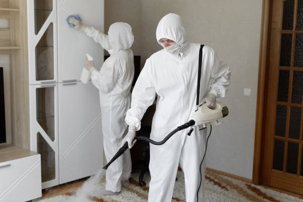 Best Black Mold Removal  in The Pinehills, MA