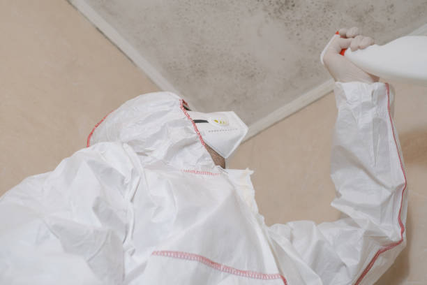 Best Emergency Mold Removal  in The Pinehills, MA
